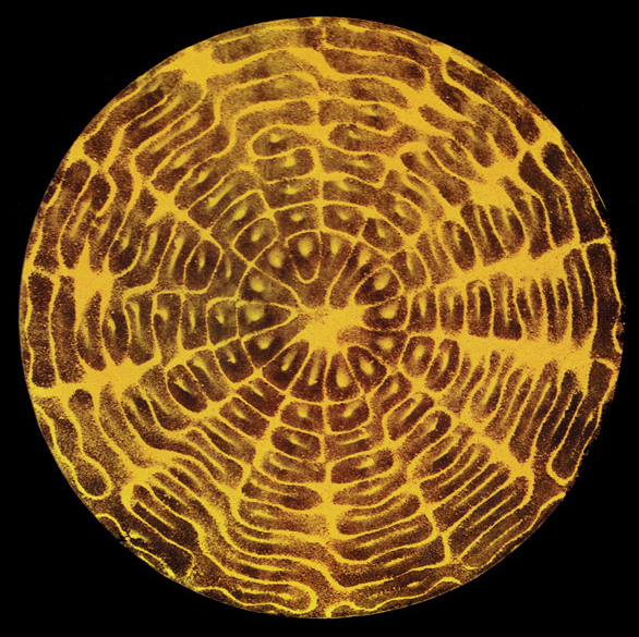 cymatics-sand