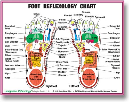 Reflexology Fertility Foot Chart